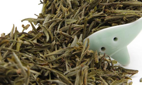 Thé vert chinois d'anti fatigue une feuille de thé naturelle fraîche de province de Hui