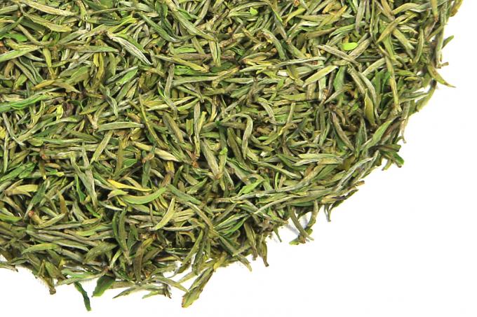Feuilles de thé vertes de traitement fraîches, thé vert jaune de feuilles mobiles de montagne