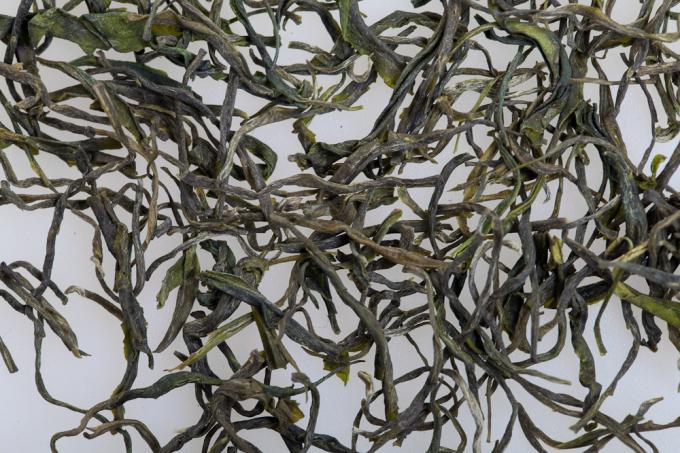 Thé vert chinois de Xinyang Mao Jian fabriqué à la main pour la perte de poids de l'homme et de femme